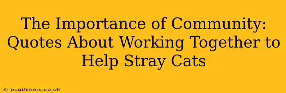 The Importance of Community: Quotes About Working Together to Help Stray Cats
