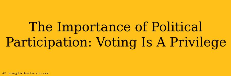 The Importance of Political Participation: Voting Is A Privilege