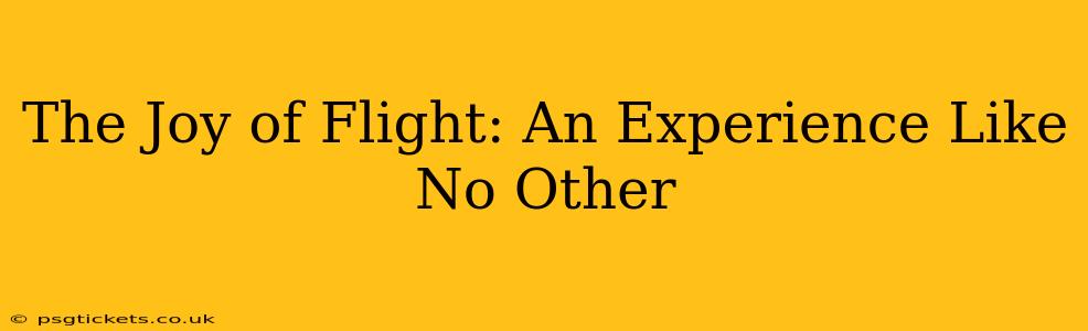 The Joy of Flight: An Experience Like No Other