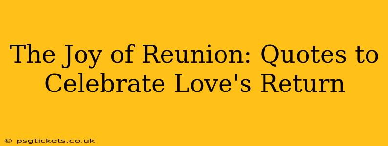 The Joy of Reunion: Quotes to Celebrate Love's Return