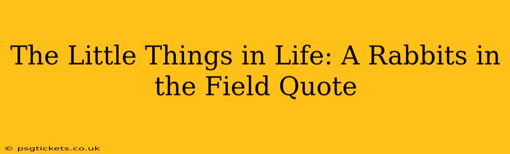 The Little Things in Life: A Rabbits in the Field Quote