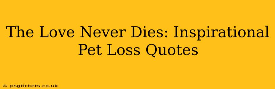 The Love Never Dies: Inspirational Pet Loss Quotes