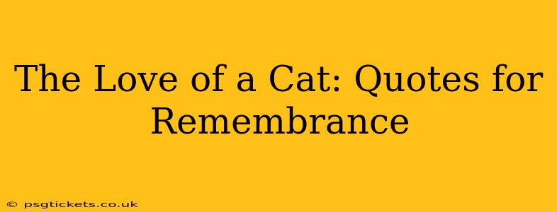 The Love of a Cat: Quotes for Remembrance
