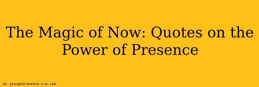 The Magic of Now: Quotes on the Power of Presence