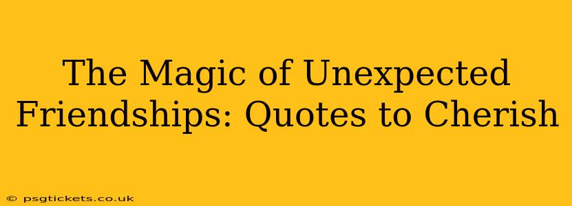 The Magic of Unexpected Friendships: Quotes to Cherish