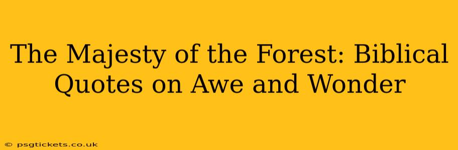 The Majesty of the Forest: Biblical Quotes on Awe and Wonder