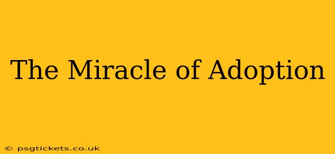 The Miracle of Adoption
