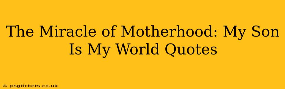 The Miracle of Motherhood: My Son Is My World Quotes