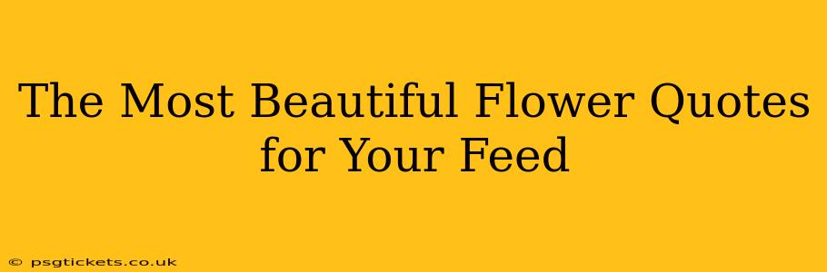 The Most Beautiful Flower Quotes for Your Feed