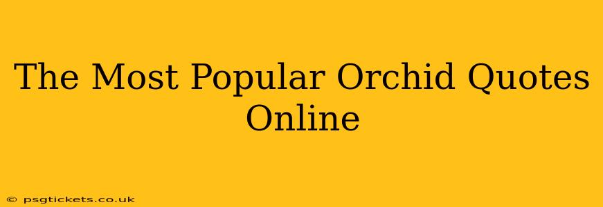 The Most Popular Orchid Quotes Online