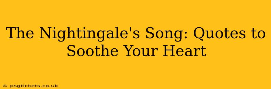 The Nightingale's Song: Quotes to Soothe Your Heart
