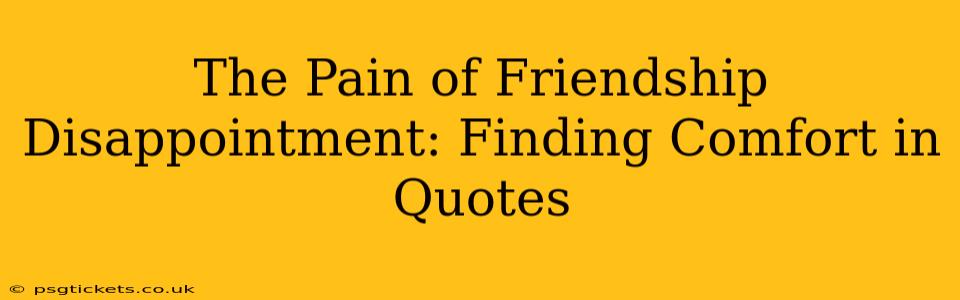 The Pain of Friendship Disappointment: Finding Comfort in Quotes