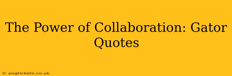 The Power of Collaboration: Gator Quotes