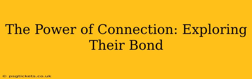 The Power of Connection: Exploring Their Bond