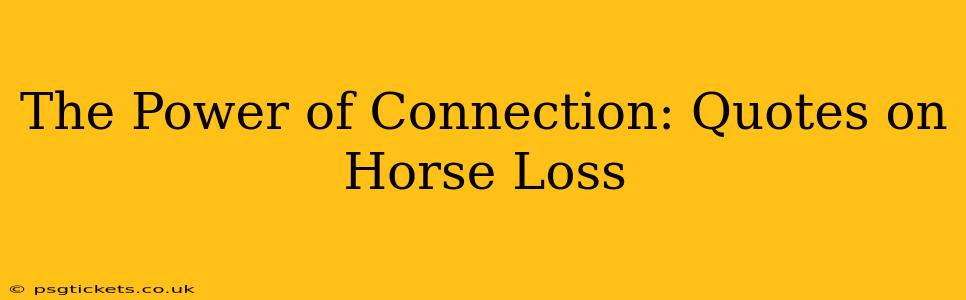The Power of Connection: Quotes on Horse Loss
