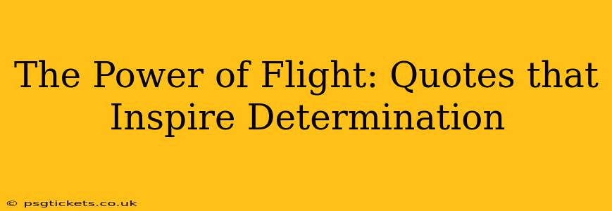 The Power of Flight: Quotes that Inspire Determination