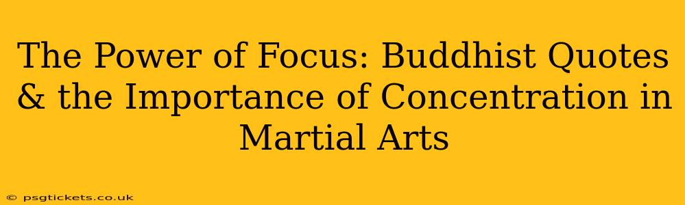 The Power of Focus: Buddhist Quotes & the Importance of Concentration in Martial Arts