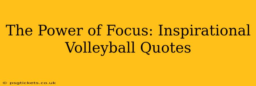 The Power of Focus: Inspirational Volleyball Quotes