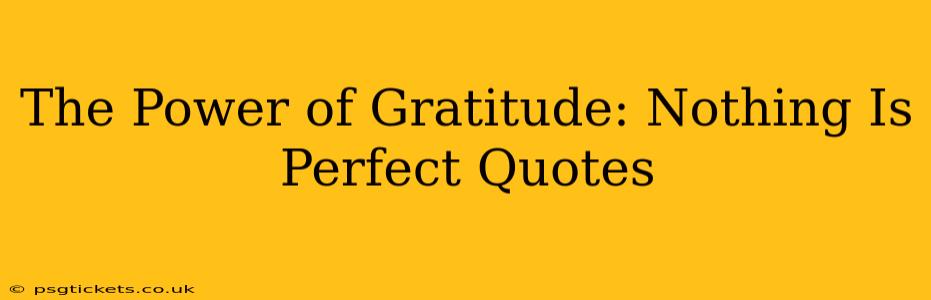 The Power of Gratitude: Nothing Is Perfect Quotes