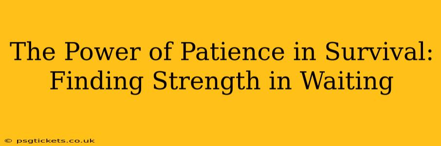 The Power of Patience in Survival: Finding Strength in Waiting