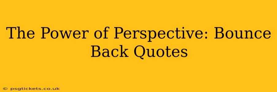 The Power of Perspective: Bounce Back Quotes