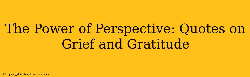 The Power of Perspective: Quotes on Grief and Gratitude