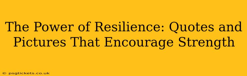 The Power of Resilience: Quotes and Pictures That Encourage Strength