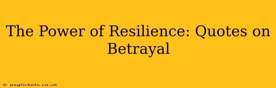 The Power of Resilience: Quotes on Betrayal