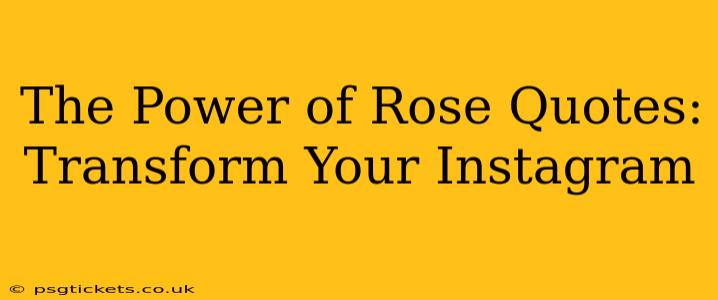 The Power of Rose Quotes: Transform Your Instagram