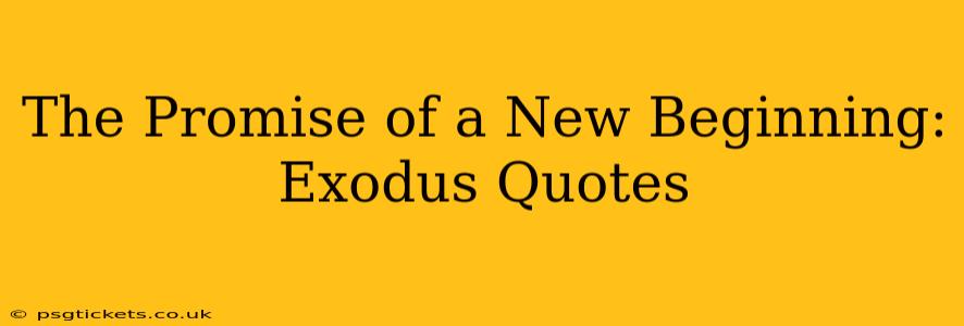The Promise of a New Beginning: Exodus Quotes
