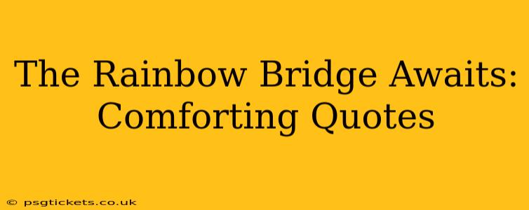 The Rainbow Bridge Awaits: Comforting Quotes