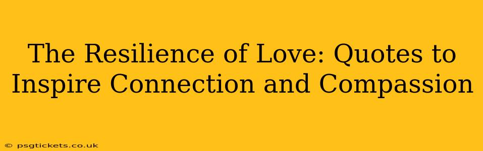 The Resilience of Love: Quotes to Inspire Connection and Compassion