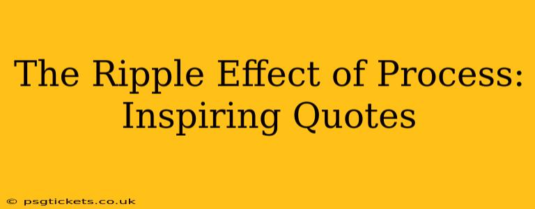 The Ripple Effect of Process: Inspiring Quotes
