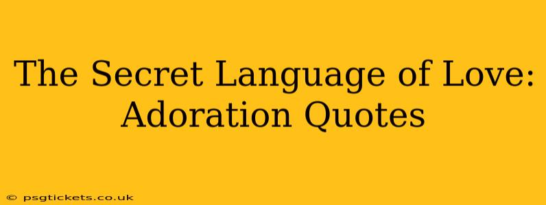 The Secret Language of Love: Adoration Quotes