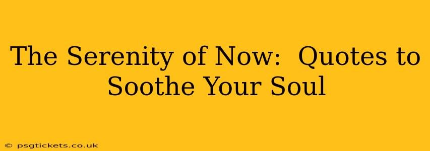 The Serenity of Now:  Quotes to Soothe Your Soul