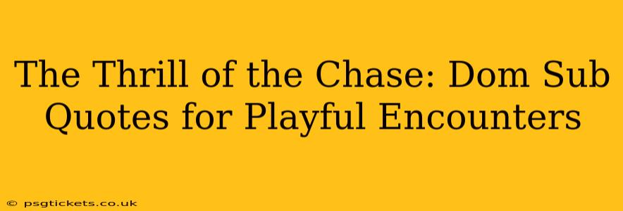 The Thrill of the Chase: Dom Sub Quotes for Playful Encounters
