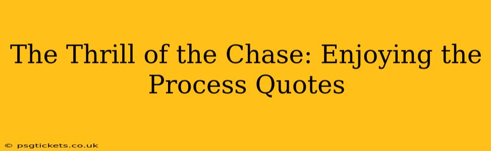 The Thrill of the Chase: Enjoying the Process Quotes