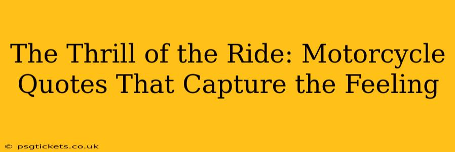 The Thrill of the Ride: Motorcycle Quotes That Capture the Feeling