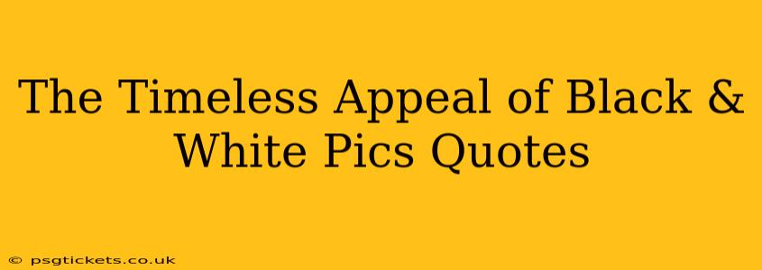 The Timeless Appeal of Black & White Pics Quotes