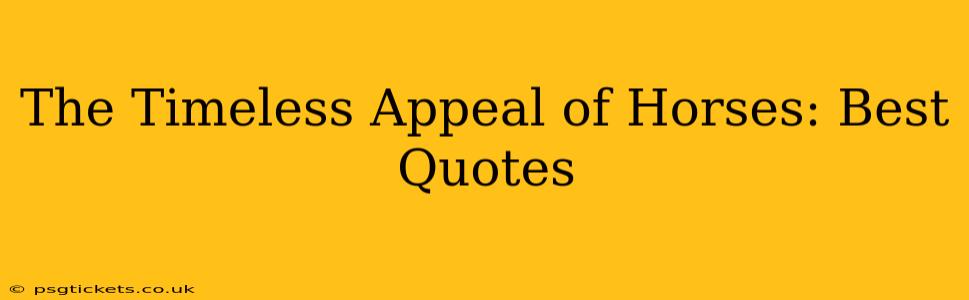 The Timeless Appeal of Horses: Best Quotes