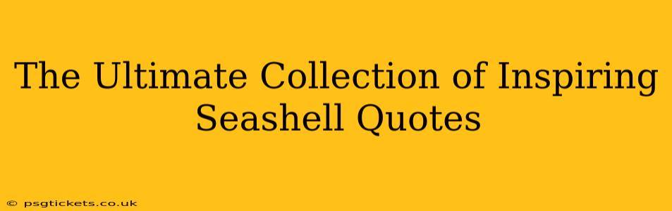 The Ultimate Collection of Inspiring Seashell Quotes