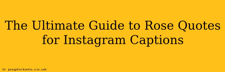 The Ultimate Guide to Rose Quotes for Instagram Captions