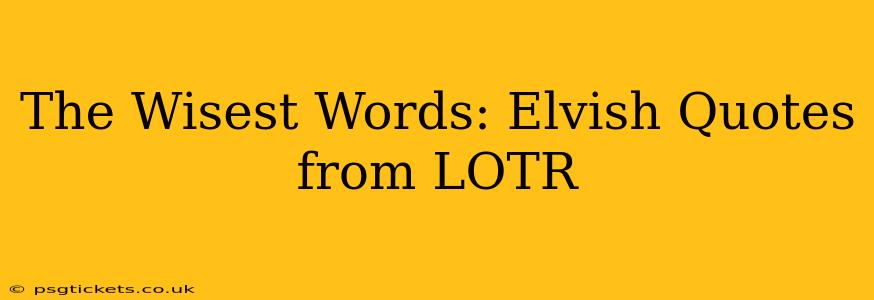 The Wisest Words: Elvish Quotes from LOTR