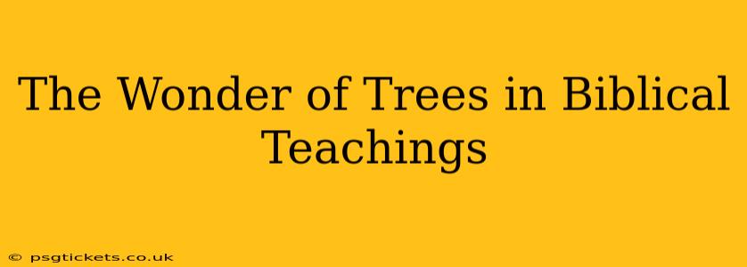 The Wonder of Trees in Biblical Teachings