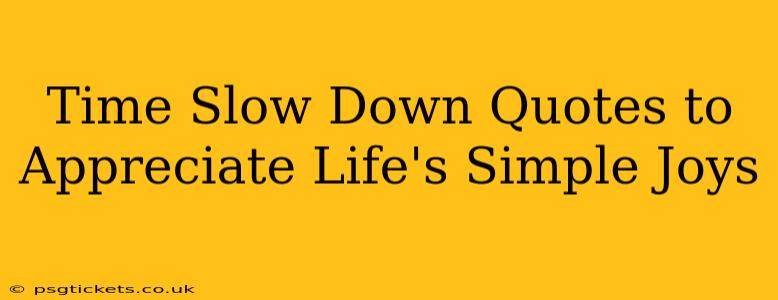 Time Slow Down Quotes to Appreciate Life's Simple Joys