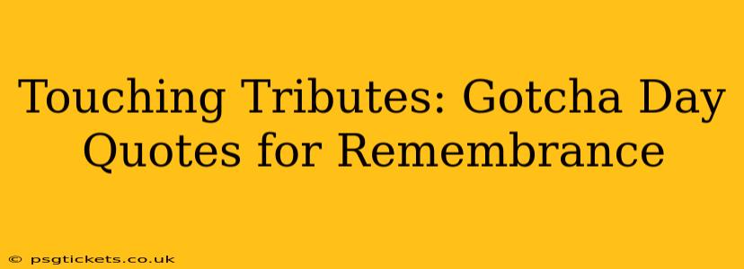 Touching Tributes: Gotcha Day Quotes for Remembrance