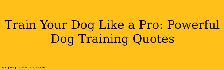 Train Your Dog Like a Pro: Powerful Dog Training Quotes