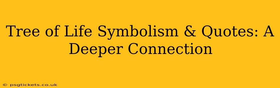Tree of Life Symbolism & Quotes: A Deeper Connection