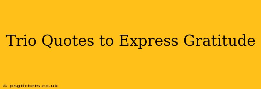 Trio Quotes to Express Gratitude