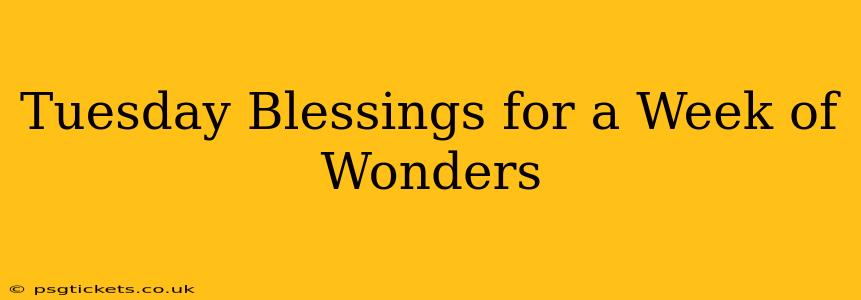 Tuesday Blessings for a Week of Wonders